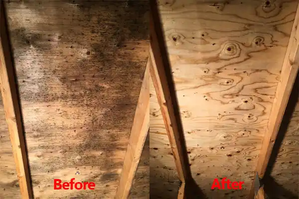 water damage restoration service Meridian